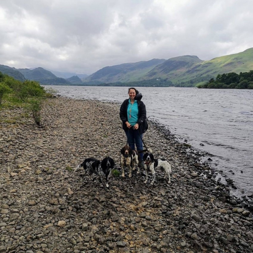 An image of Pip Wood, Administrator at Martin Walsh Architectural, is pictured on the beach with her three sprocker spaniels: Penny, Buddy and Luna.