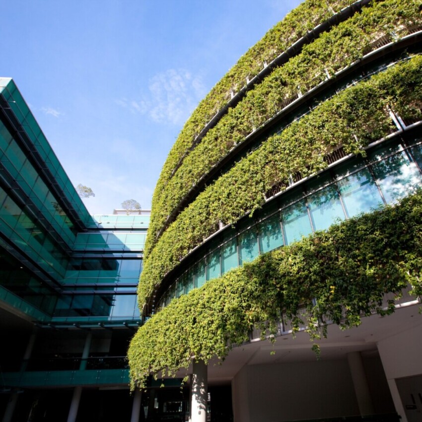 A modern building showing greenery on the outside, which perfectly highlights the topic of this blog; biodiversity in practice.